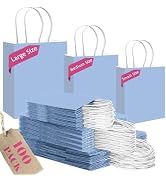 qiqee 100PCS Gift Bag with Handles Bulk Light Blue Paper Bags Assorted Sizes(33pcs Large 13