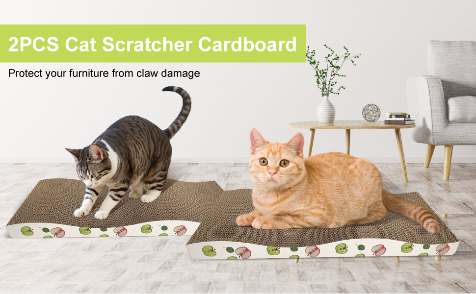 cat scraching board