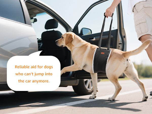 dog lift harness for large dogs