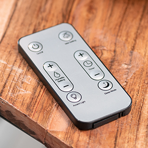 Includes Remote