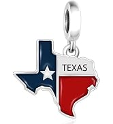 BSFJTY Flag Charms All Countries, 925 Sterling Silver Charms for Bracelets and Necklaces, Nationa...