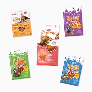 Food & Treats