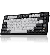 Chilkey ND75 LP Low Profile Aluminum Mechanical Keyboard, 75 Percent Wireless Gaming Keyboard w/S...