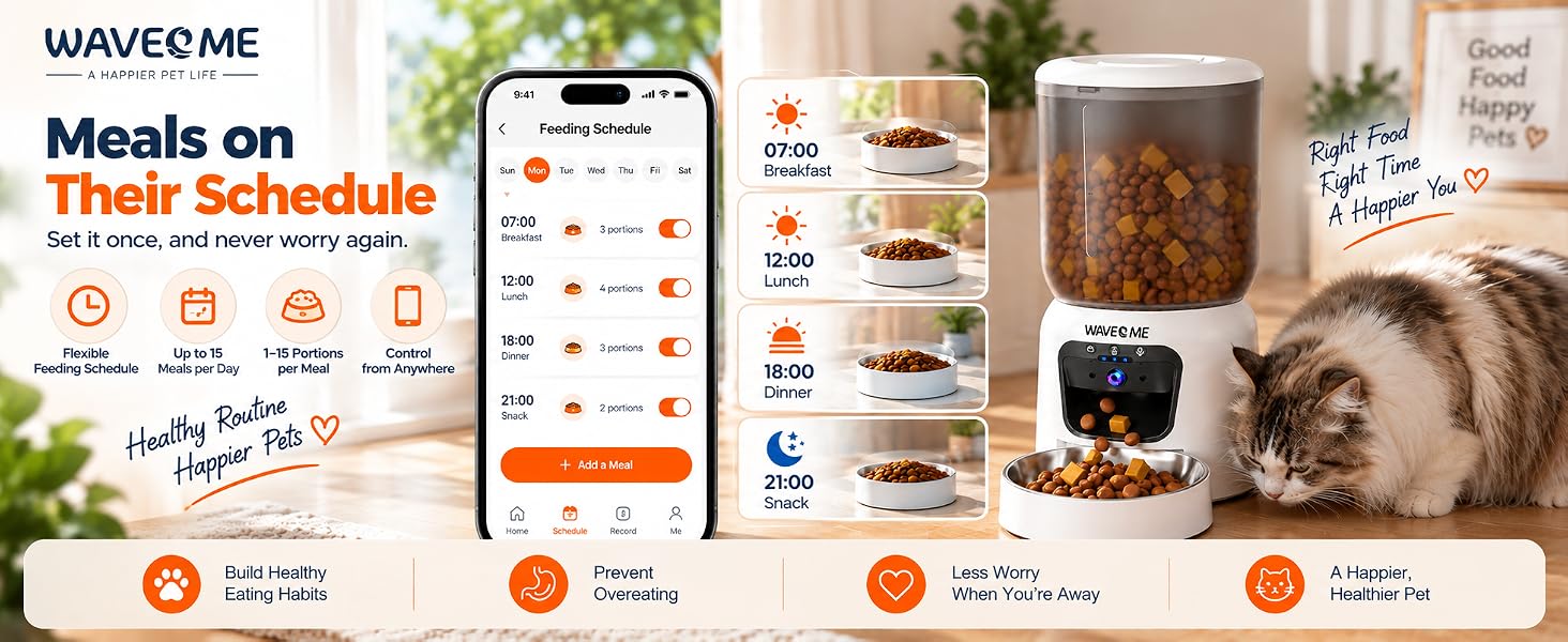 cat feeder with camera