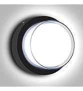 BIRITALO Porch Lights Outdoor 12W 6500K LED Wall Sconce Light Double-Layer Cover Aluminum Exterio...