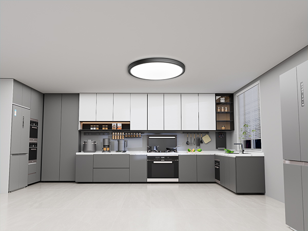 LED Ceiling Light