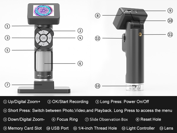 Microscope with Slides Kit