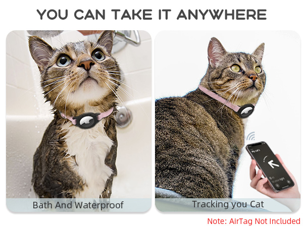 Cat Tracker
