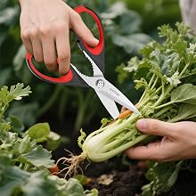 garden tools