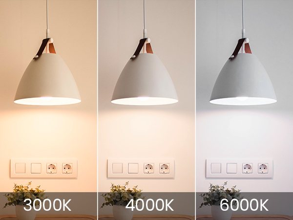 A19 LED Light Bulb with Remote Control