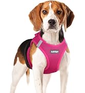 rabbitgoo Small Dog Harness, Step-in Soft Mesh Puppy Vest, Easy Walk with Safety Buckle, Breathab...