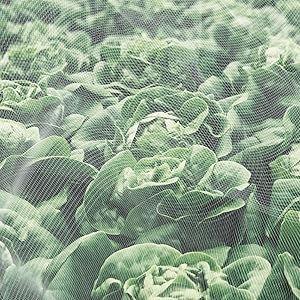 Plant Vegetable Barrier