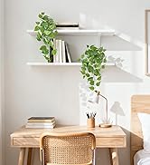 fake hanging plants, plants decor