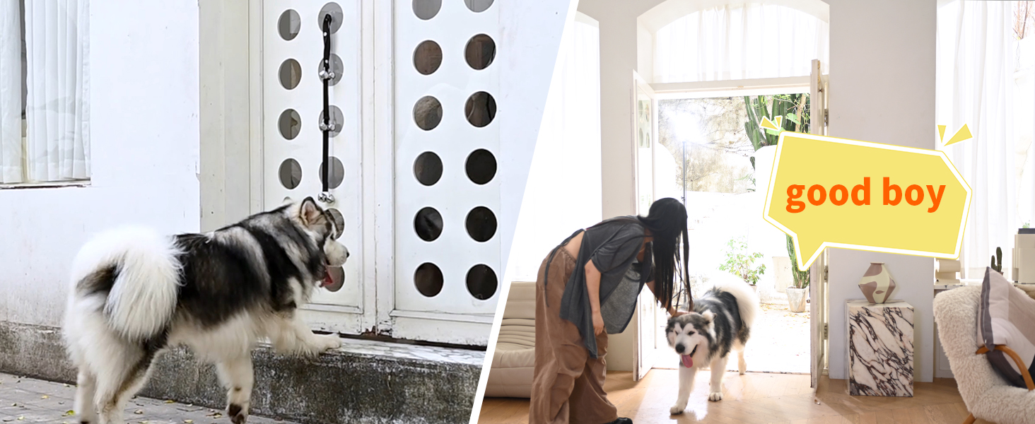 After the dog peed, it touched the bell, the owner opened the door, and the dog happily went home