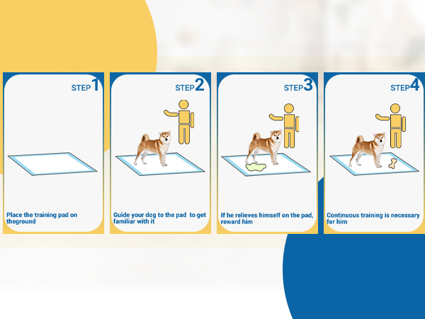 Tips of Pet Training
