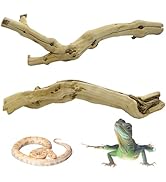 Apatal Reptile Branch Decor 2 Pack Snake Climbing Wood Branches Lizard Habitat Decorations Terrar...