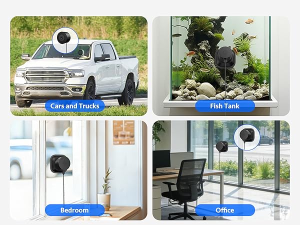 window cameras