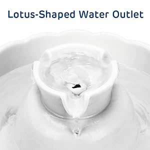 for the water pump