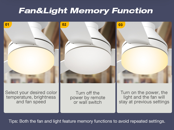 Memory Function