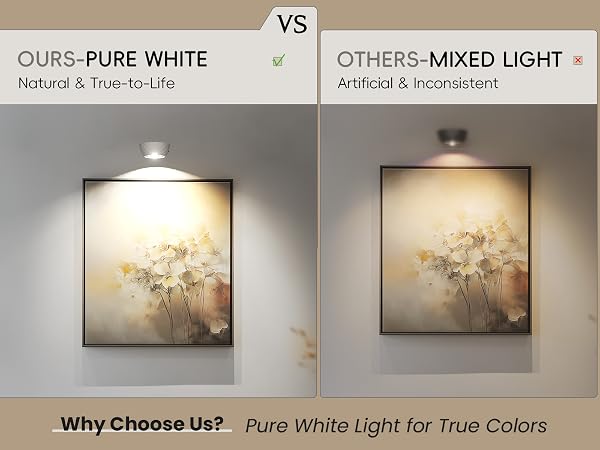 frame light