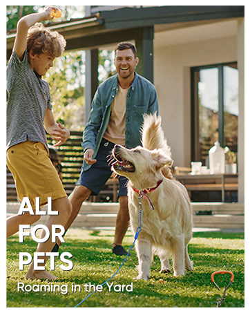 Petbobi dog cable & stake