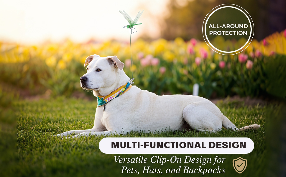 MULTI-FUNCTIONAL DESIGN