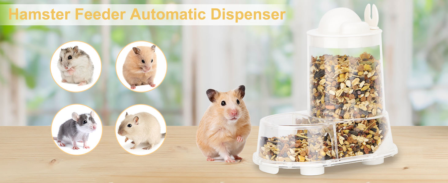 Hamster Feeder Food Bowl