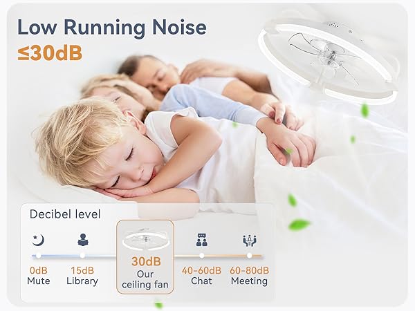 Fandelier LED Fan Light