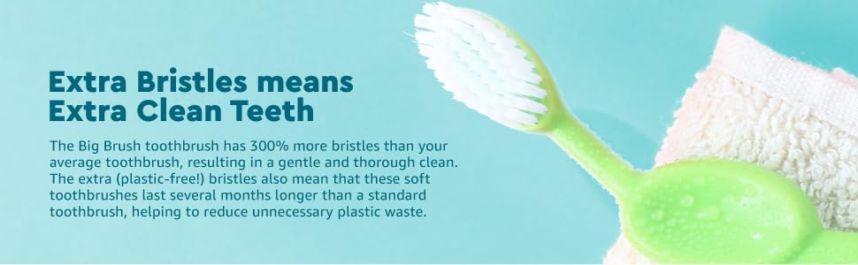 adult toothbrush, soft toothbrush, radius big brush, organic toothbrush, toothbrush case,