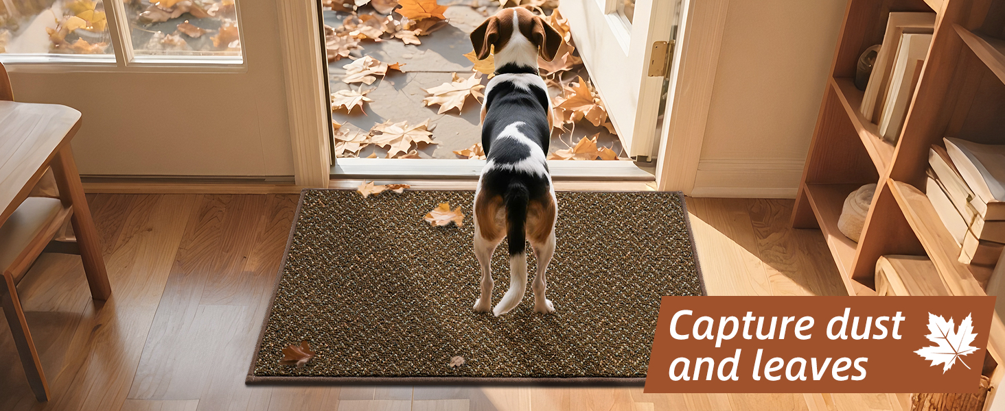 dirt trapper entry mat