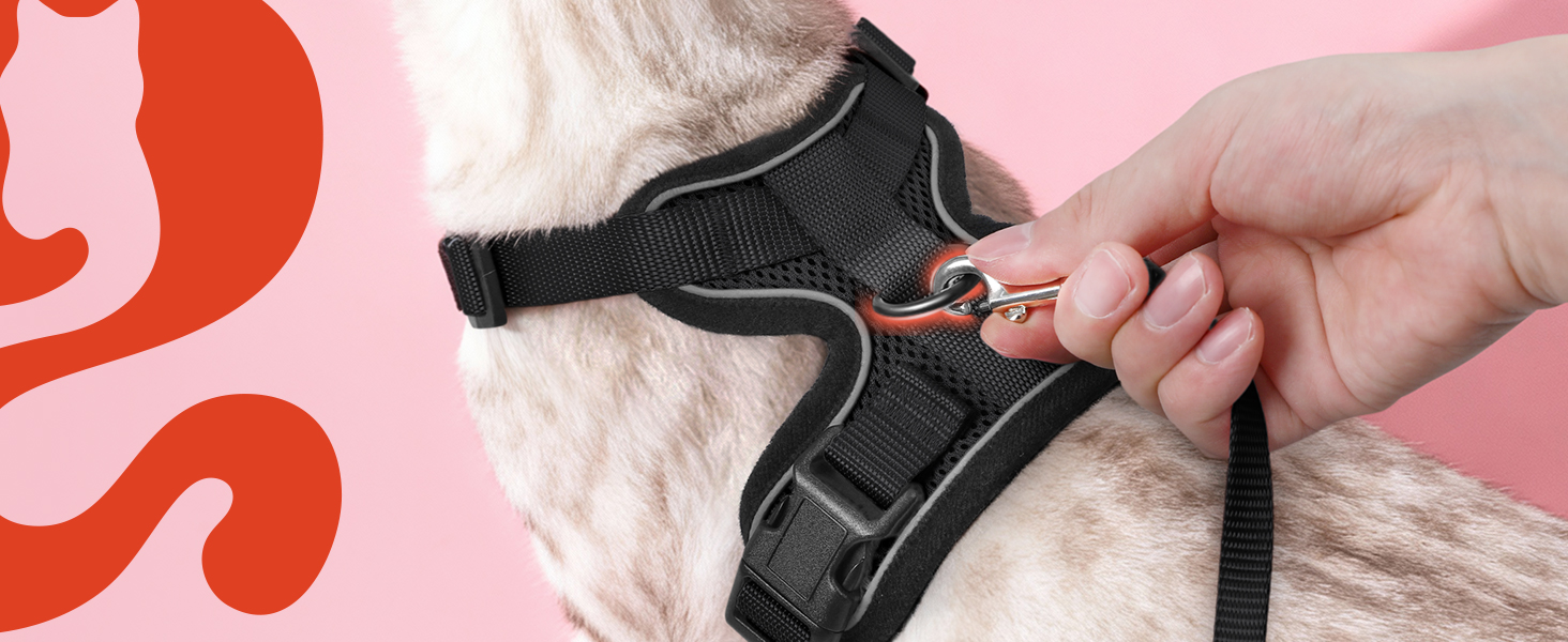 rabbitgoo Cat Harness and Leash for Walking
