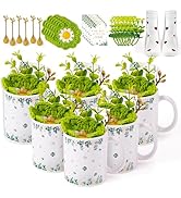 TICIAGA Eucalyptus Mug Gift Set - 36Pcs Greenery Coffee Mug with Ceramic Cup Spoon Knit Coaster S...