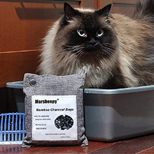 pet odor remover