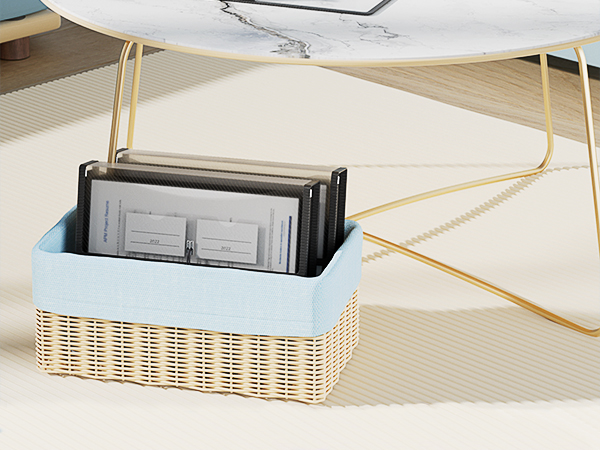 ThinkTex Plastic Expanding File Folder