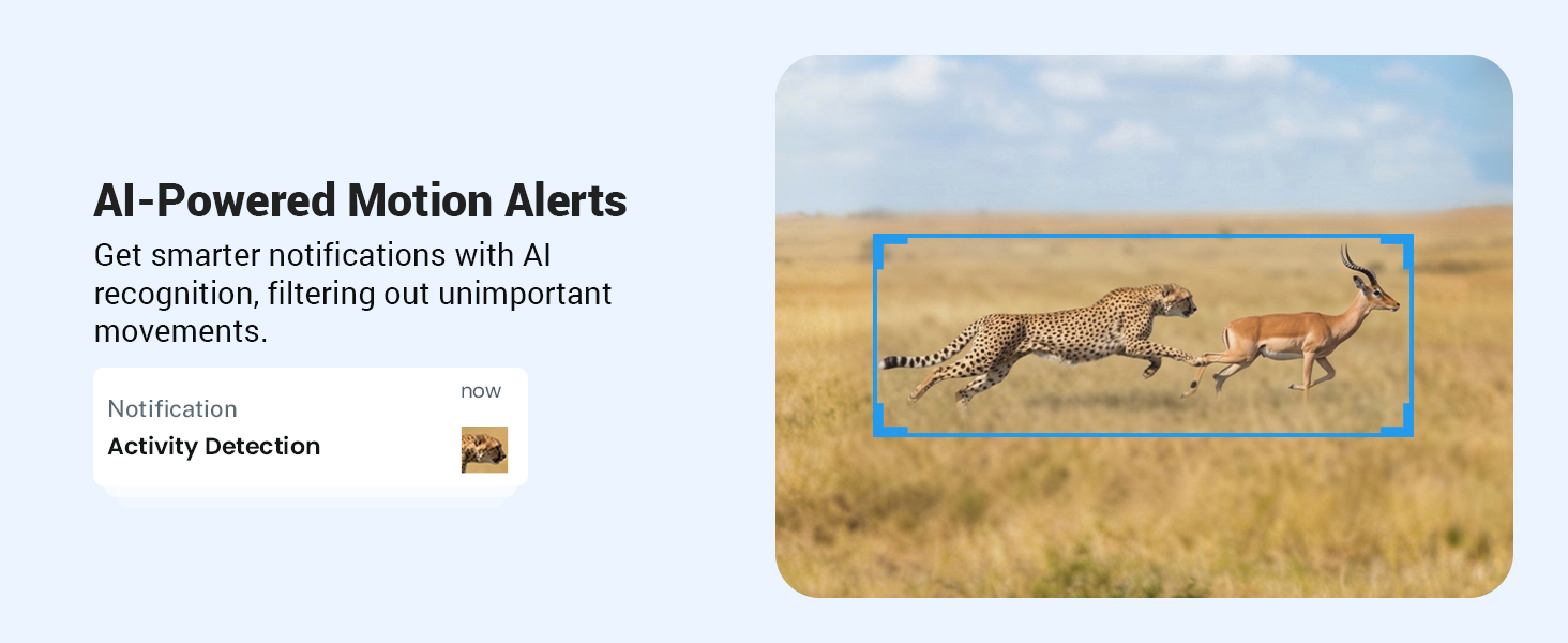 AI Motion Alerts