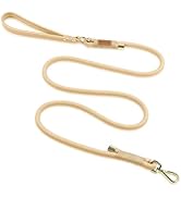 Wisedog Dog Leash for Small Dogs, 6FT Lightweight Rope Leash with PVC Soft Padded Handle, Rustpro...