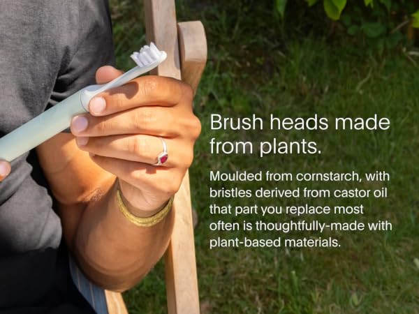 brush heads from plants