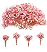 1500+ Mini Pink Dried Babys Breath Flowers, 50pcs Baby Breath Bouquet, 6'' Natural Gypsophila Bul...