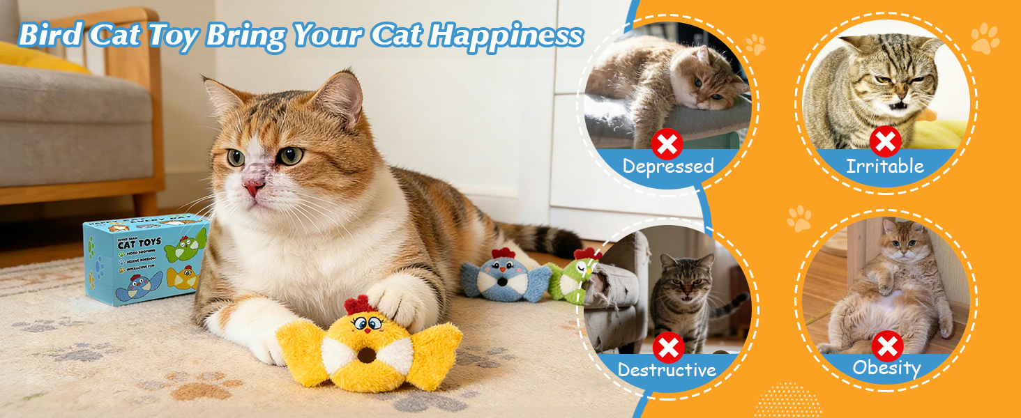 cat catnip