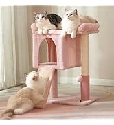 Pawfessor Small Cat Tree Tower for Adult Cats with Large Top Bed 20x13.8â??Private Cat Condo,Sisal ...