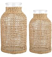DOITOOL Glass Flower Vase with Rattan Cover Flower Bud Vase Round Decorative Flower Vase Floral C...