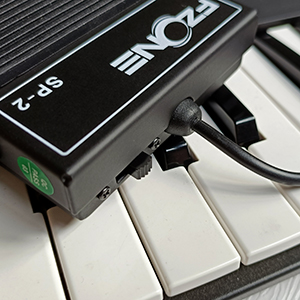 polarity switch