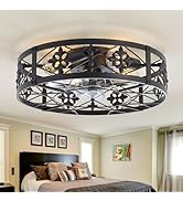 ZYD Caged Ceiling Fan with Light, 20" Ceiling Fan with Lights and Remote Flush Mount, Bladeless C...