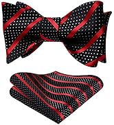 HISDERN Bow Ties for Men Striped Bowties Men's Self Tie Bowtie Handkerchief Formal Tuxedo Wedding...