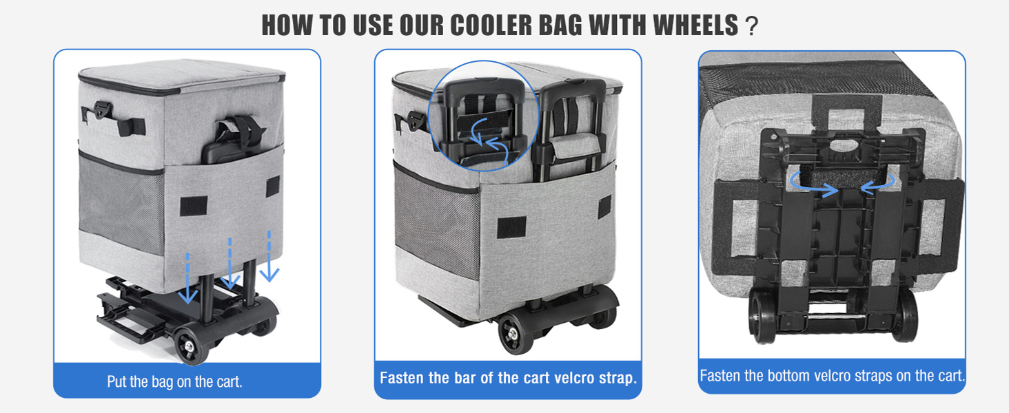 backpack cooler