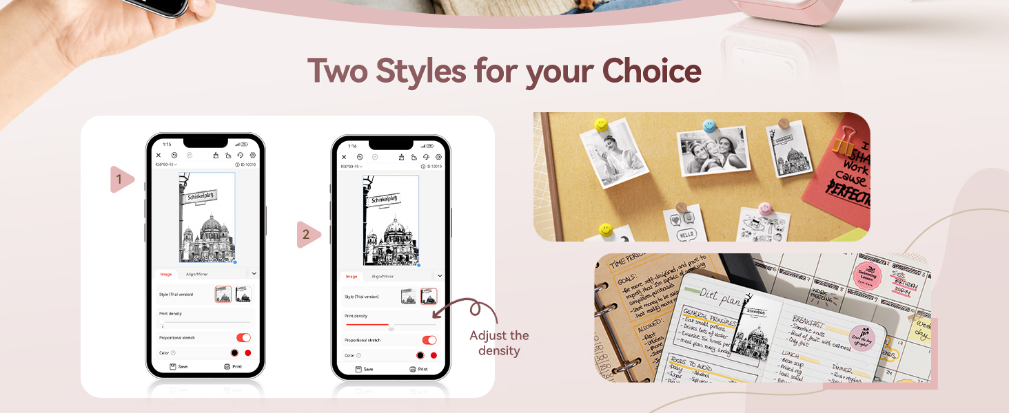 niimbot b21 sticker maker