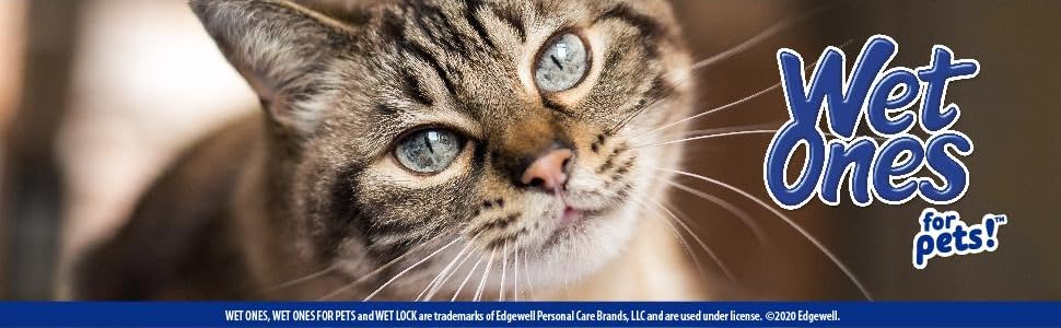 Wet Ones, Pets, Cats, Dog, Wipes, Gentle, Fresh, Puppy, Kitten, Clean, Dander Remove