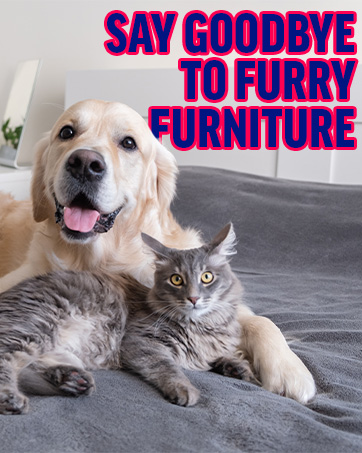 Say Goodbye to Furry Furniture