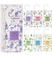https://m.media-amazon.com/images/S/aplus-media-library-service-media/da32b82a-6ded-413b-8bcd-3d3088b89e53.__AC_SR200,225___.jpg