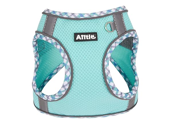 https://m.media-amazon.com/images/S/aplus-media-library-service-media/9ad6a682-4c49-46c0-9513-62639f39ee09.__CR0,250,2000,1500_PT0_SX600_V1___.jpg